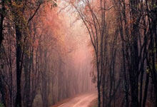 如何开展水土保持现场巡视工作？