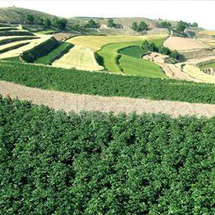 养殖污染将成为环保问题的“引爆点”